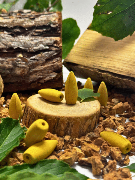 kadzidełka stożkowe