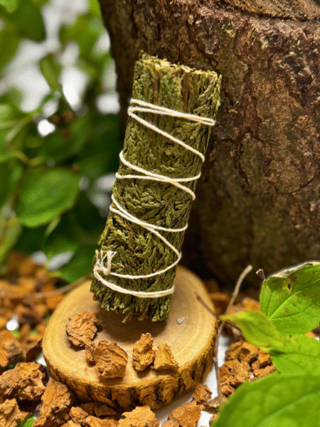 Naturalne kadzidło - Cedr