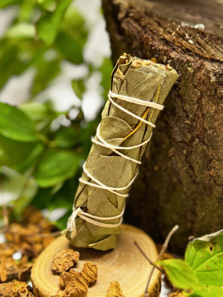 Naturalne kadzidło - Eukaliptus